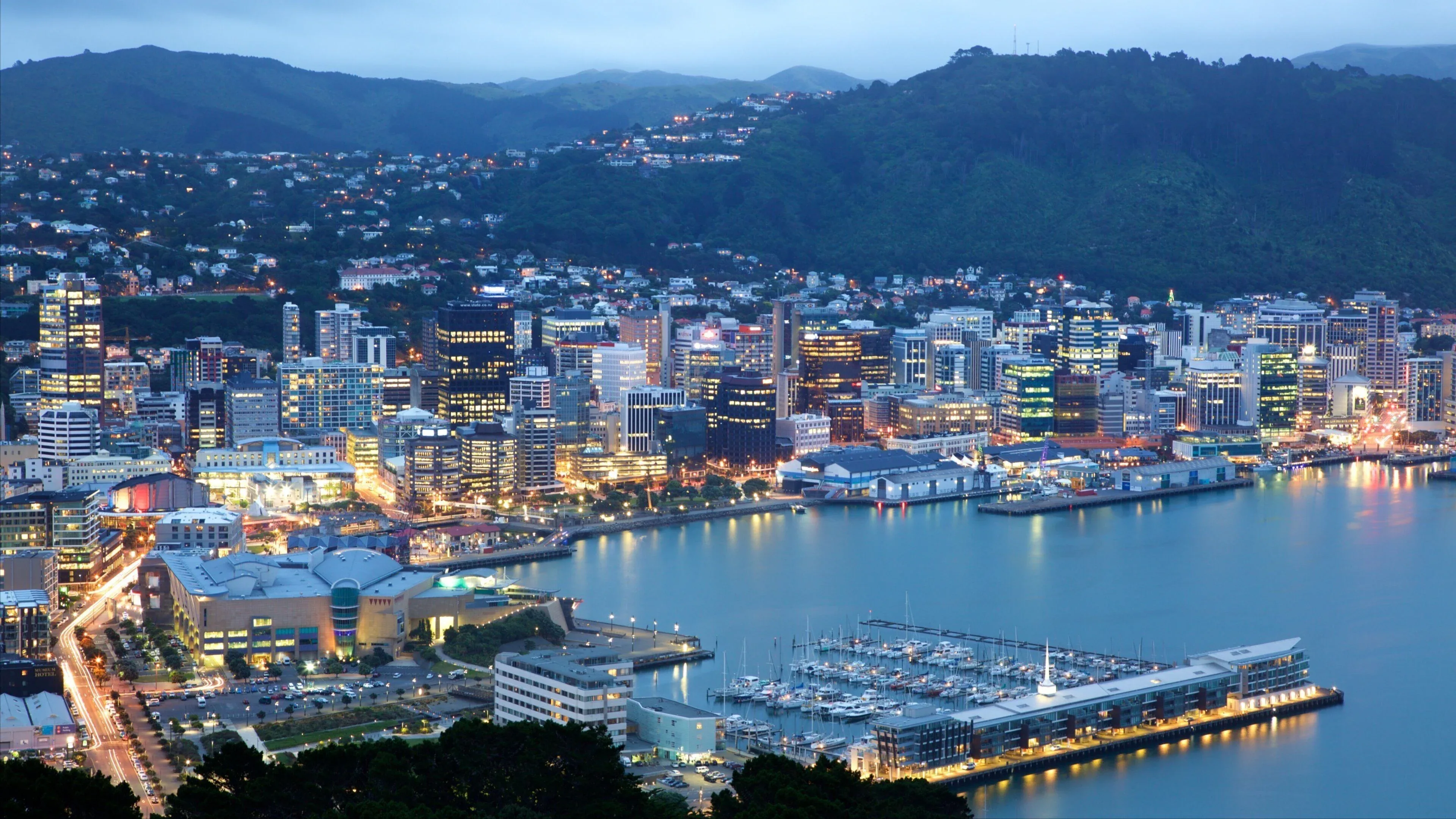 What to do on a rainy-day in Wellington
